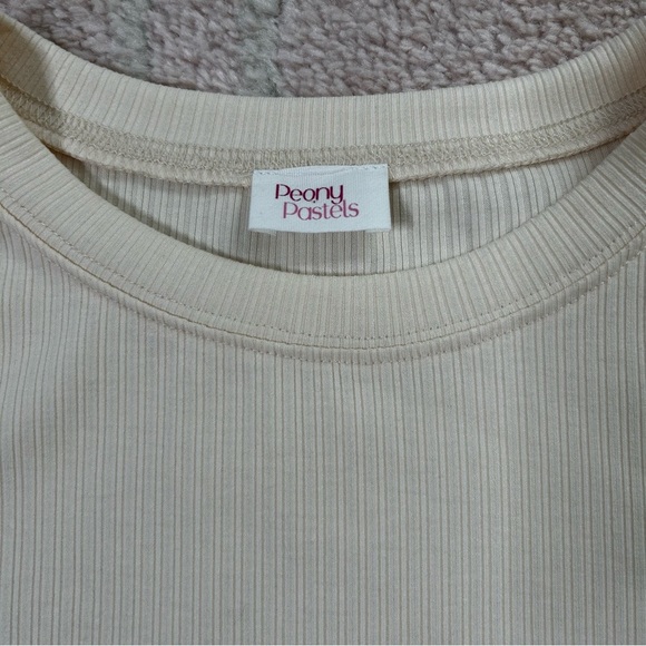 Peony Pastels Cream Ribbed Blouse with Sheer Puff Sleeves Size Large Holiday - Picture 3 of 11